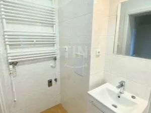 Pronájem bytu 1+1, Opava - Předměstí, Anenská, 40 m2