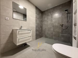 Pronájem bytu 1+kk, Olomouc, Janského, 48 m2