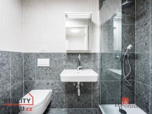 Pronájem bytu 1+kk, Brno - Zábrdovice, Bratislavská, 23 m2