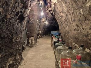 Pronájem vinného sklepa, Nový Šaldorf-Sedlešovice - Nový Šaldorf, 310 m2