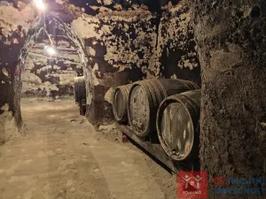 Pronájem vinného sklepa, Nový Šaldorf-Sedlešovice - Nový Šaldorf, 310 m2