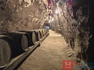 Pronájem vinného sklepa, Nový Šaldorf-Sedlešovice - Nový Šaldorf, 310 m2