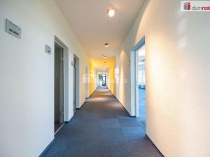 Pronájem kanceláře, České Budějovice - České Budějovice 6, Jeronýmova, 25 m2