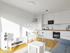 Prodej bytu 1+kk, Praha - Žižkov, Krásova, 36 m2