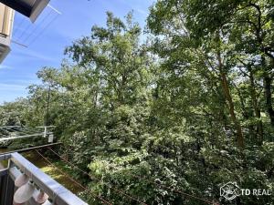 Pronájem bytu 2+1, Brno, Jírovcova, 61 m2