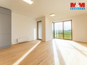 Pronájem bytu 1+kk, Brandýs nad Labem-Stará Boleslav - Brandýs nad Labem, Dřevčická, 38 m2