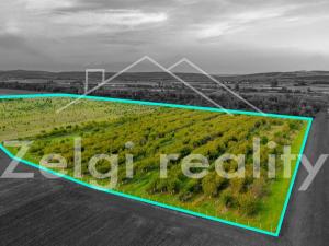 Prodej sadu/vinice, Rakvice, 176555 m2