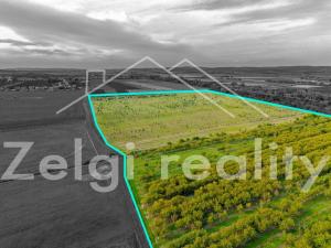 Prodej sadu/vinice, Rakvice, 210277 m2