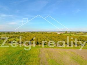 Prodej sadu/vinice, Rakvice, 210277 m2