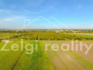 Prodej sadu/vinice, Rakvice, 210277 m2