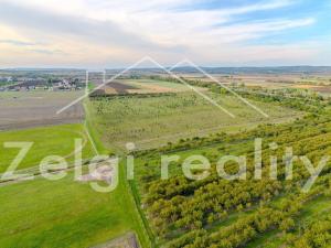 Prodej sadu/vinice, Rakvice, 210277 m2