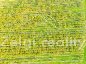 Prodej sadu/vinice, Rakvice, Horní, 210277 m2