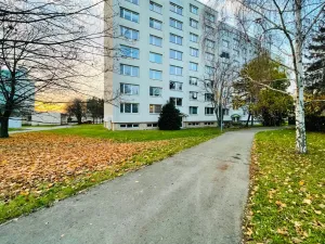 Pronájem bytu 2+1, Olomouc - Holice, U cukrovaru, 45 m2