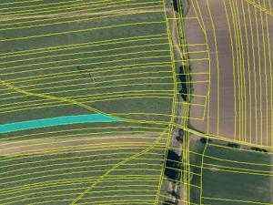 Prodej pole, Roštín, 12575 m2