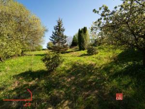 Prodej zahrady, Rybník, 1928 m2