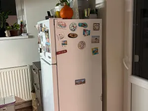 Pronájem bytu 2+1, Brno, Francouzská, 46 m2