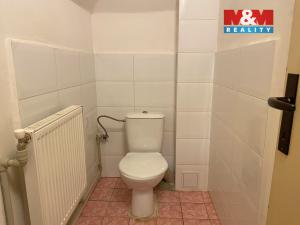 Prodej bytu 3+1, Nové Město pod Smrkem, Celní, 90 m2