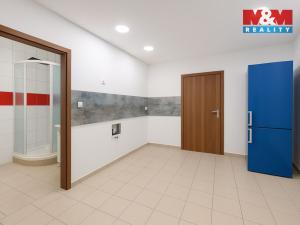 Pronájem komerční nemovitosti, Svatava, U Přádelny, 250 m2