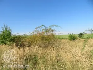 Dražba zahrady, Grunta, 689 m2