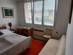 Prodej bytu 2+1, Kamenice nad Lipou, Družstevní, 44 m2