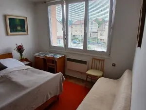 Prodej bytu 2+1, Kamenice nad Lipou, Družstevní, 44 m2
