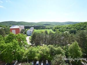 Pronájem bytu 1+1, Brno - Bystrc, Štouračova, 31 m2