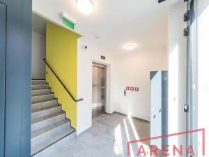 Pronájem bytu 1+kk, Brno, Dornych, 28 m2