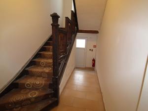 Pronájem bytu 2+kk, Brno - Žabovřesky, Horova, 51 m2