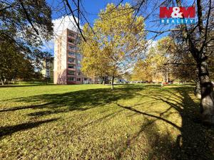 Prodej bytu 4+kk, Litoměřice - Předměstí, Družstevní, 63 m2