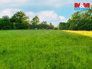 Prodej louky, Jílové u Prahy, 18692 m2