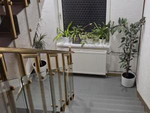 Pronájem kanceláře, Jeseník, 28. října, 19 m2