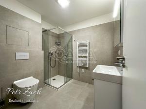 Pronájem bytu 1+kk, Přerov - Přerov I-Město, Čechova, 35 m2