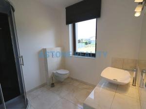 Pronájem rodinného domu, Trnová, 370 m2