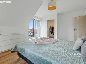 Prodej rodinného domu, Bory - Horní Bory, 146 m2