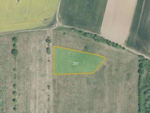 Prodej sadu/vinice, Troubky-Zdislavice, 6725 m2