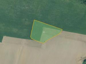 Prodej pole, Bor, 85030 m2