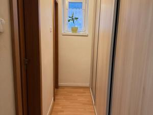 Pronájem bytu 2+1, Ústí nad Labem - Klíše, Herbenova, 60 m2