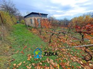 Prodej rodinného domu, Viničné Šumice, 200 m2