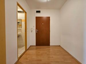 Pronájem bytu 1+kk, Brno, Svitavské nábřeží, 24 m2