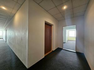 Pronájem bytu 1+kk, Brno, Svitavské nábřeží, 24 m2