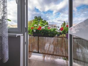 Prodej bytu 3+1, Kolín, Jateční, 68 m2