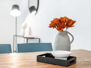 Prodej bytu 2+kk, Praha - Vinohrady, Polská, 47 m2