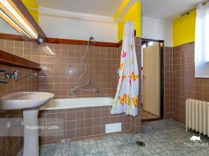 Prodej vícegeneračního domu, Manětín, 329 m2