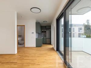 Pronájem bytu 1+kk, Černošice, Ke Hřišti, 31 m2