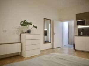 Pronájem bytu 1+kk, Praha - Žižkov, 27 m2