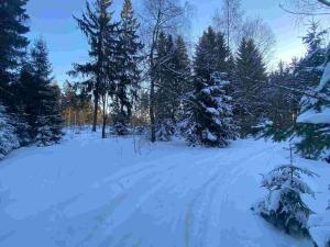 Prodej pozemku, Frýdštejn, 1080 m2