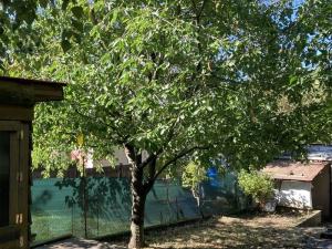 Prodej zahrady, Brno - Líšeň, 193 m2