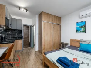 Prodej bytu 2+kk, Plzeň - Východní Předměstí, Kartónová, 56 m2