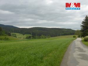 Prodej lesa, Vysoká Srbská, 26095 m2