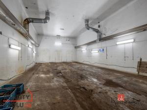 Prodej výrobních prostor, Kaznějov, Pod Továrnou, 6551 m2